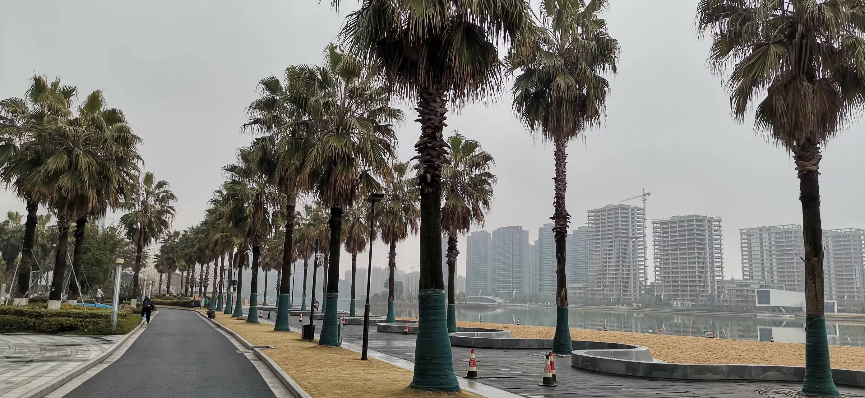 下沙金沙湖，湖畔励志故事与自信成就之动态
