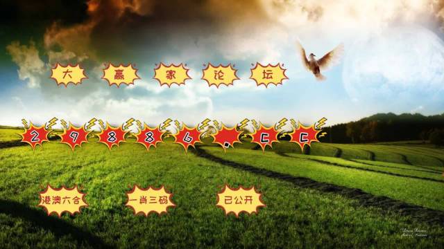 ＂4949澳门今晚开奖＂的：完善实施计划_赛博版6.4