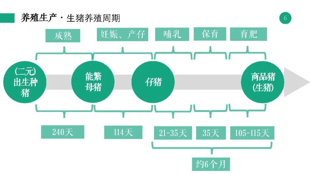 保健品 第19页